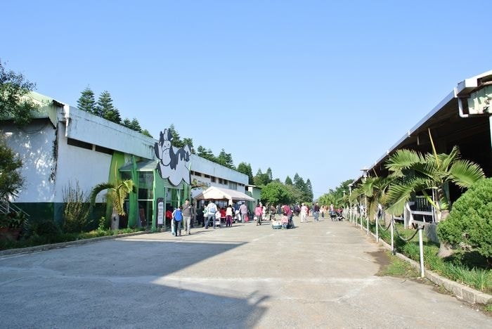 DSC_3678_nEO_IMG.jpg