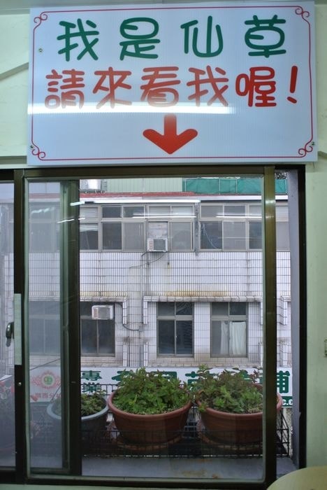 DSC_4190_nEO_IMG.jpg
