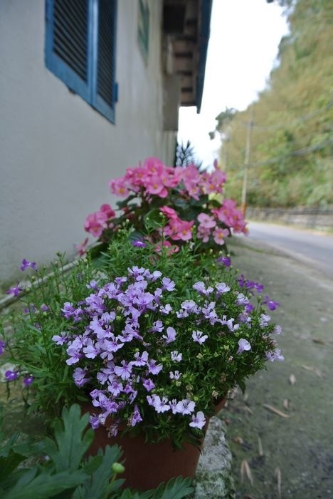 DSC_5419_nEO_IMG.jpg