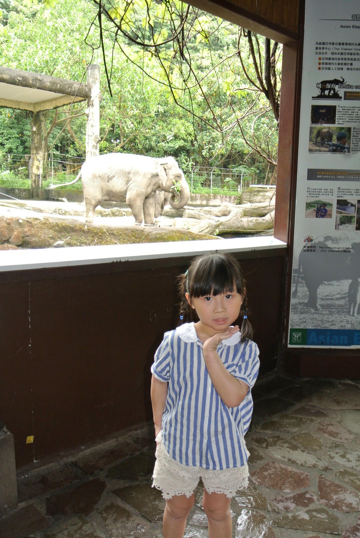 DSC_7991.JPG