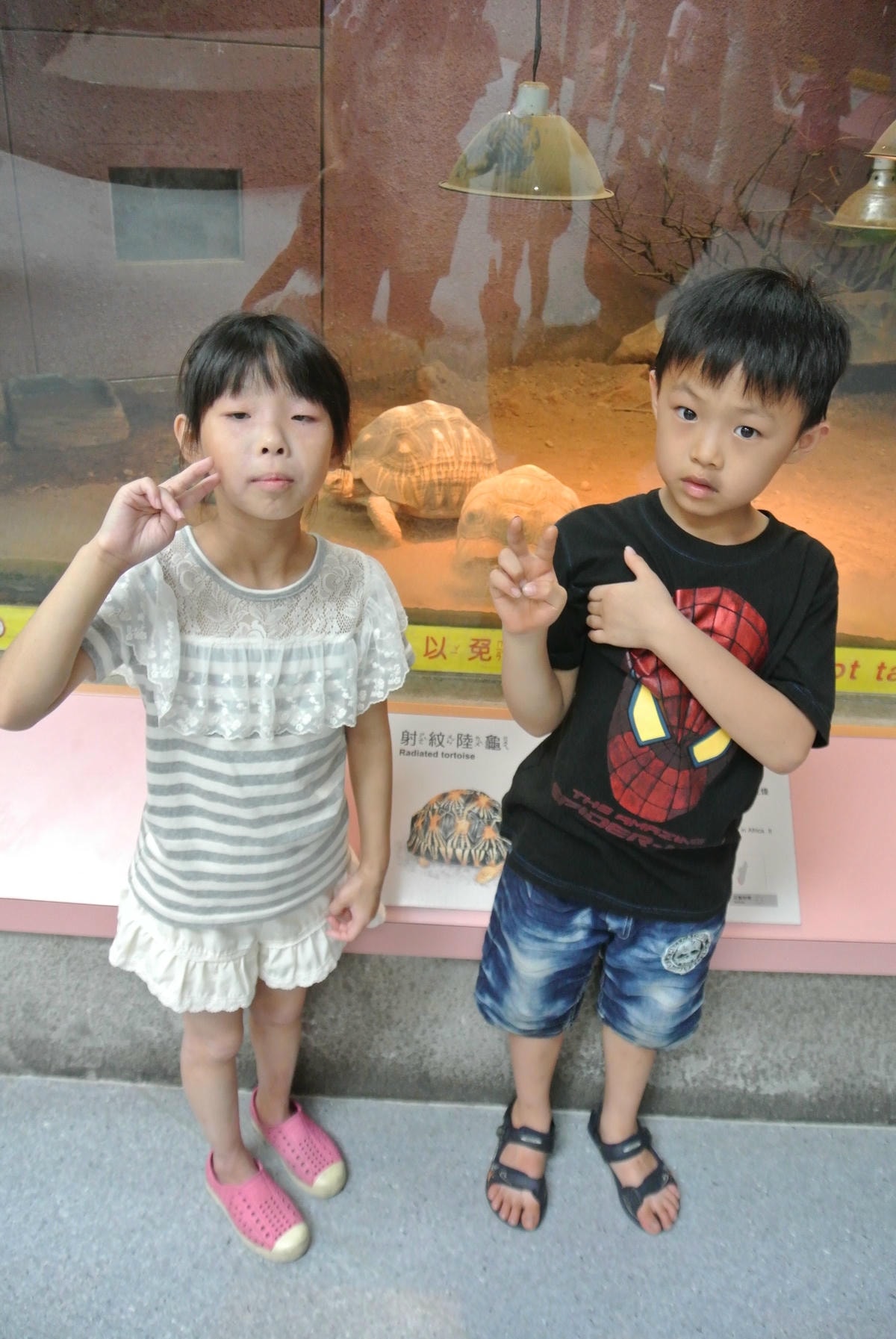 DSC_8012.JPG