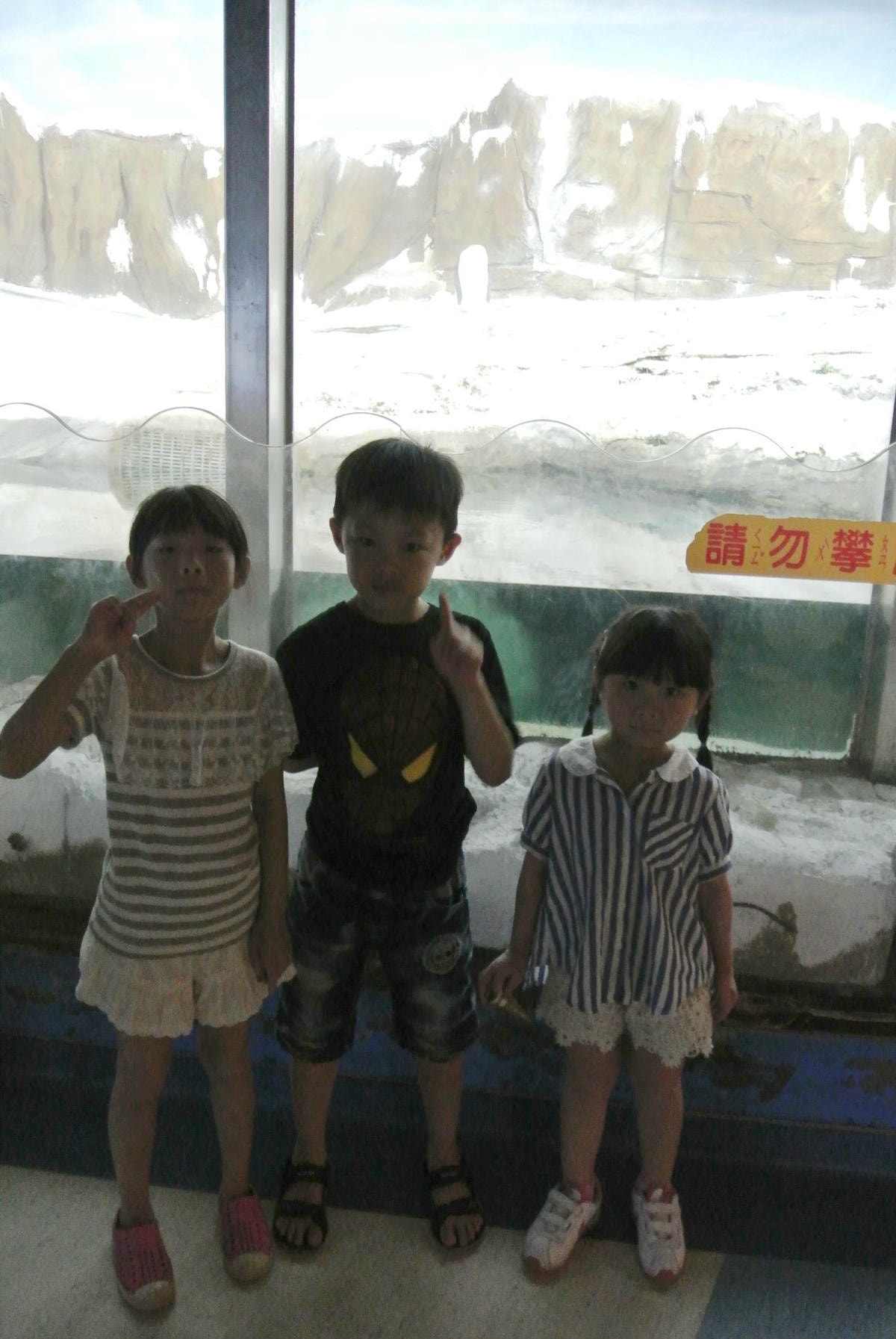 DSC_8029.JPG