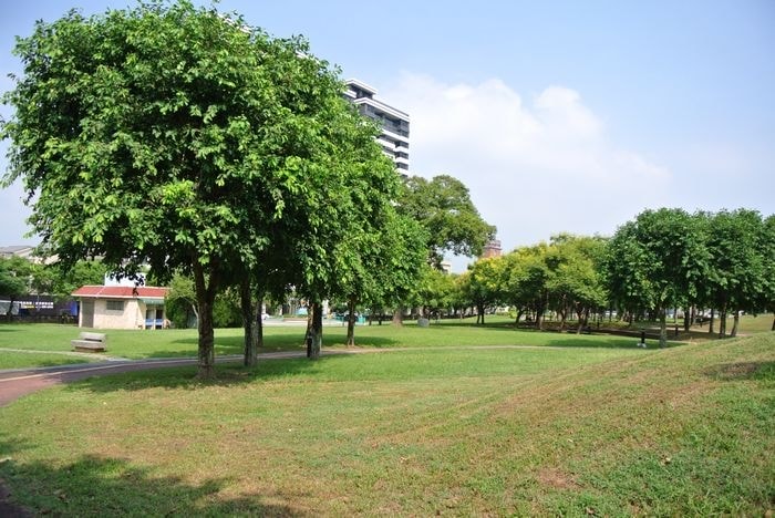 nEO_IMG_DSC_0170-1