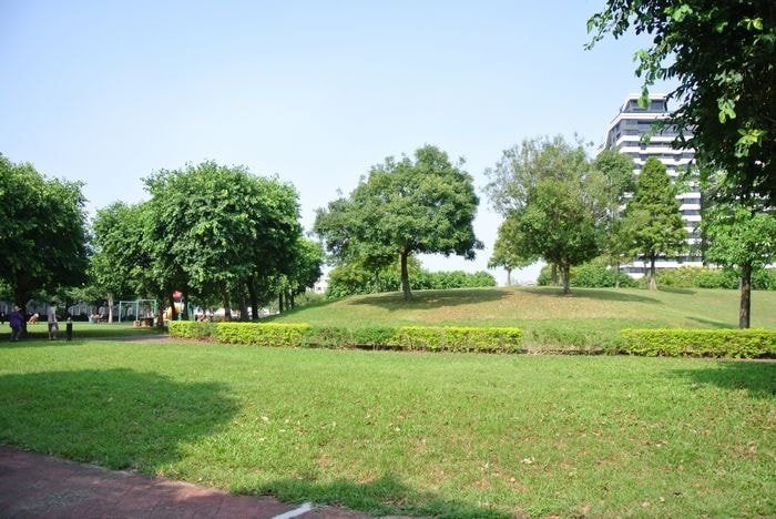 nEO_IMG_DSC_0167-1