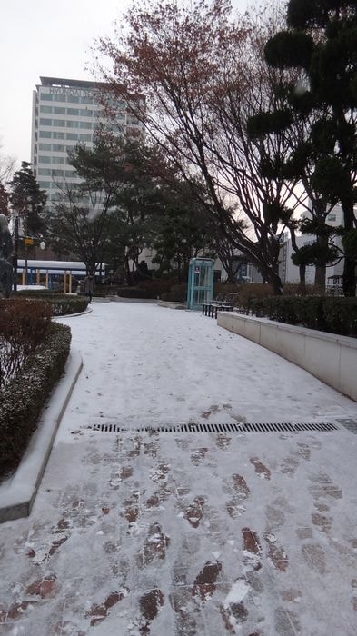nEO_IMG_DSC06268.jpg