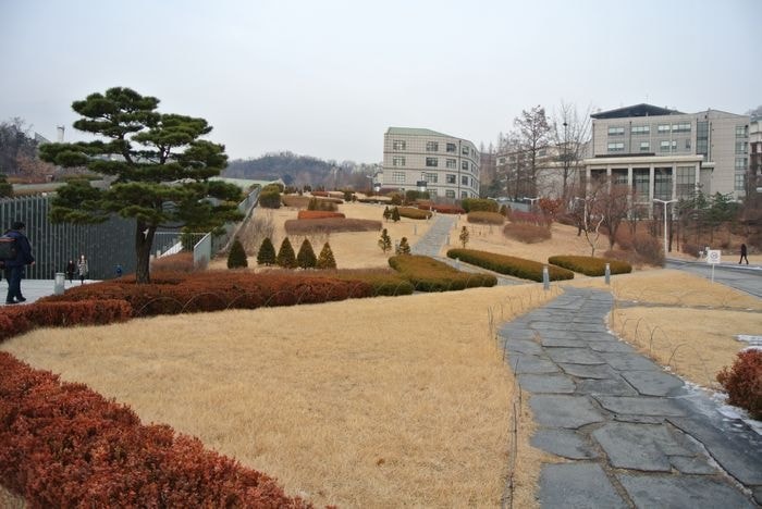 nEO_IMG_DSC_2507