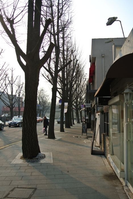 nEO_IMG_DSC_2784.jpg