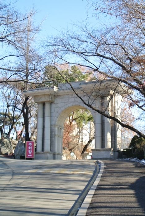 nEO_IMG_DSC_2964.jpg