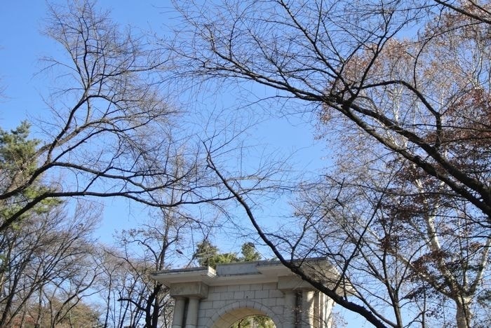 nEO_IMG_DSC_2965.jpg