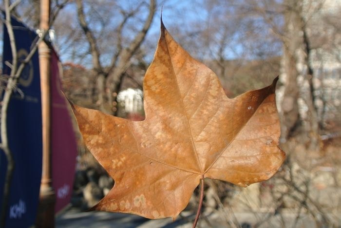 nEO_IMG_DSC_2966.jpg