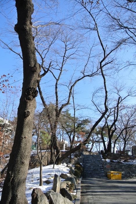 nEO_IMG_DSC_2974.jpg