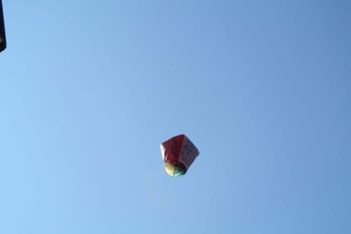 nEO_IMG_DSC_3385.jpg