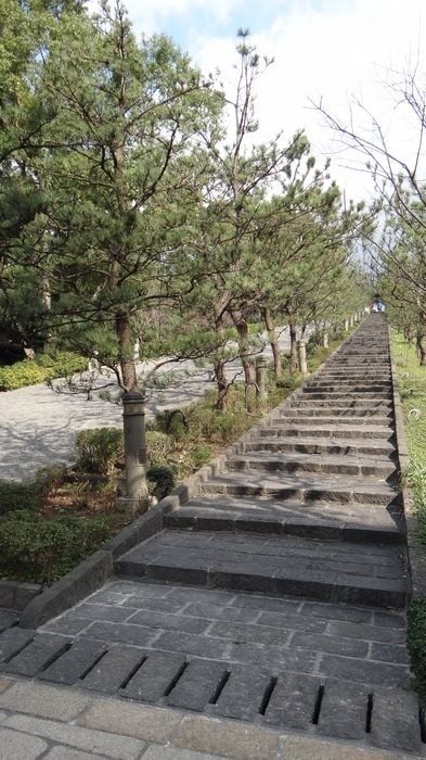 nEO_IMG_DSC06473