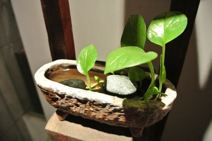 nEO_IMG_DSC_3471.jpg
