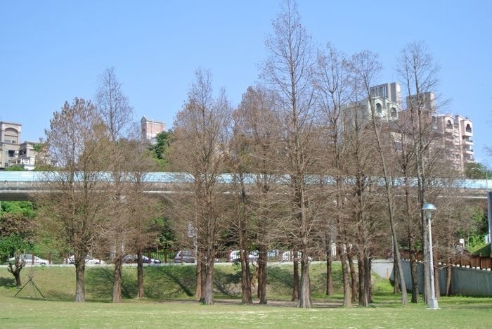 nEO_IMG_DSC_4272