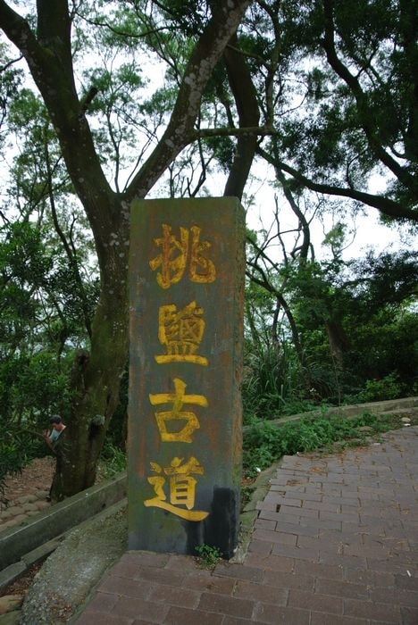 nEO_IMG_DSC_5959