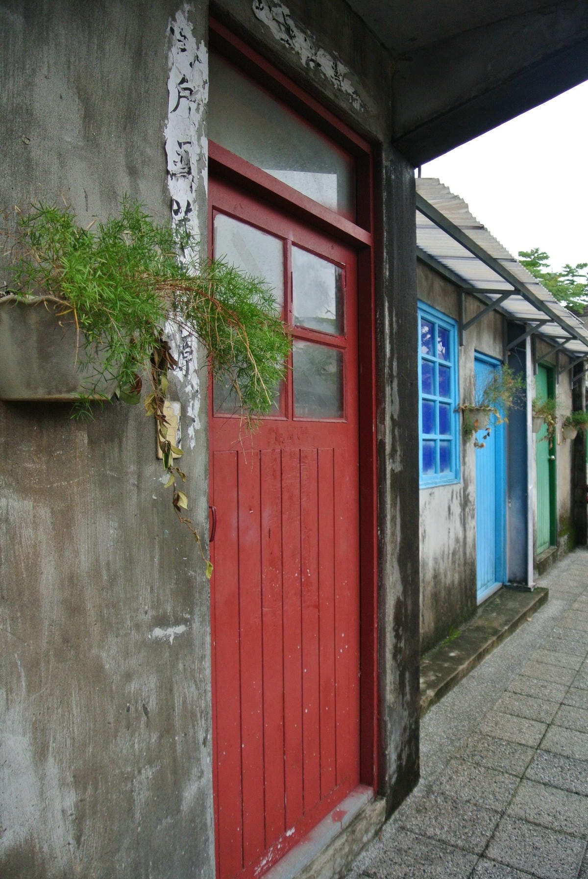 DSC_6379.JPG