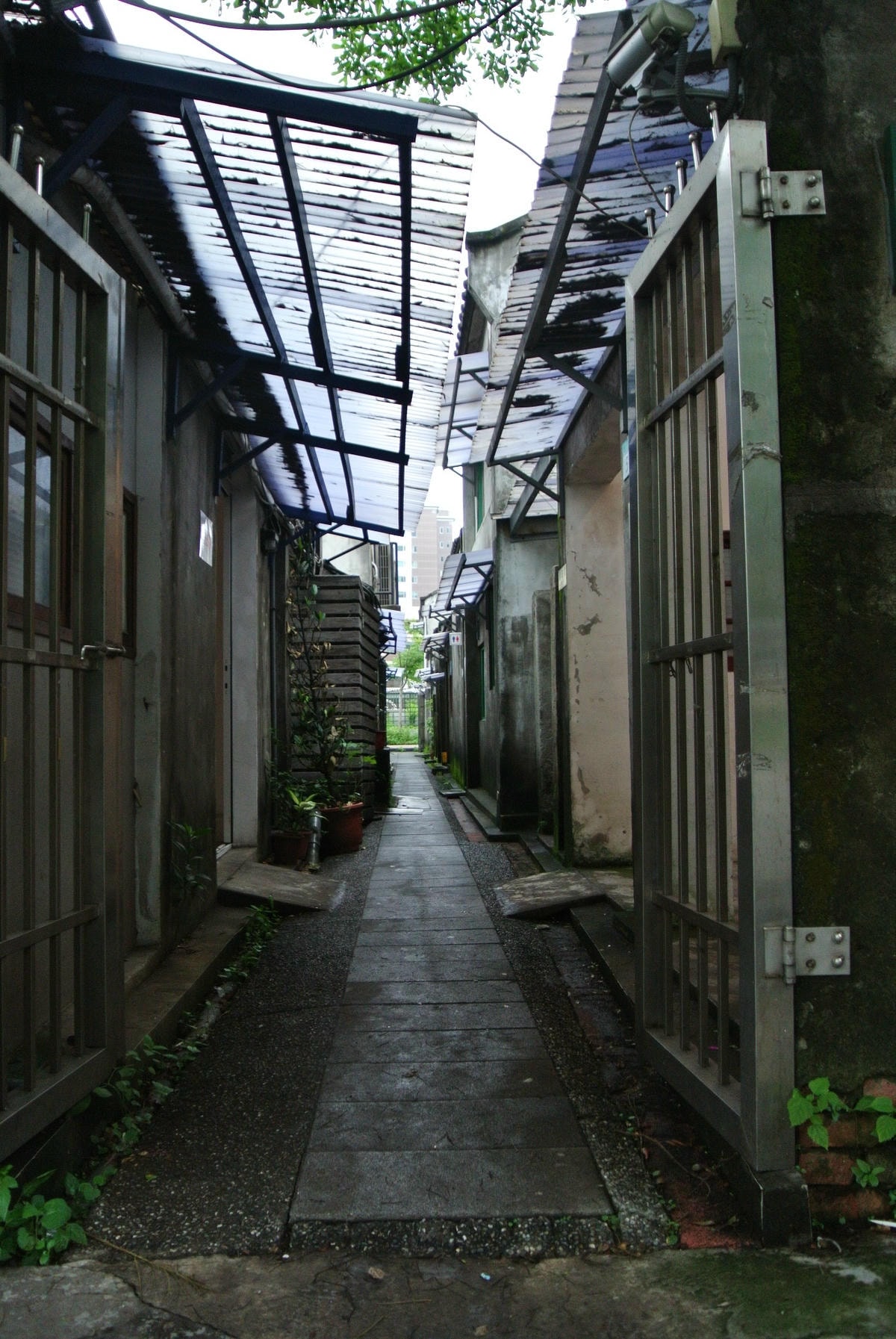 DSC_6407.JPG