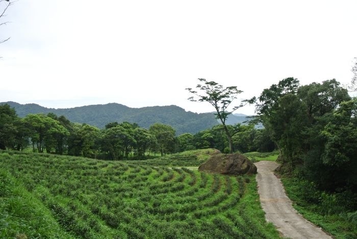 nEO_IMG_DSC_7942.jpg