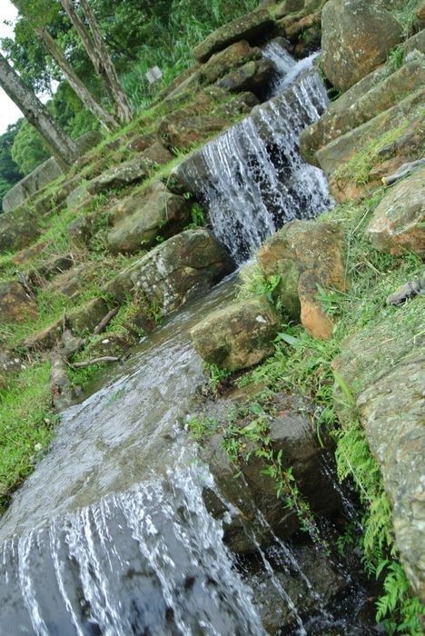 nEO_IMG_DSC_7954.jpg