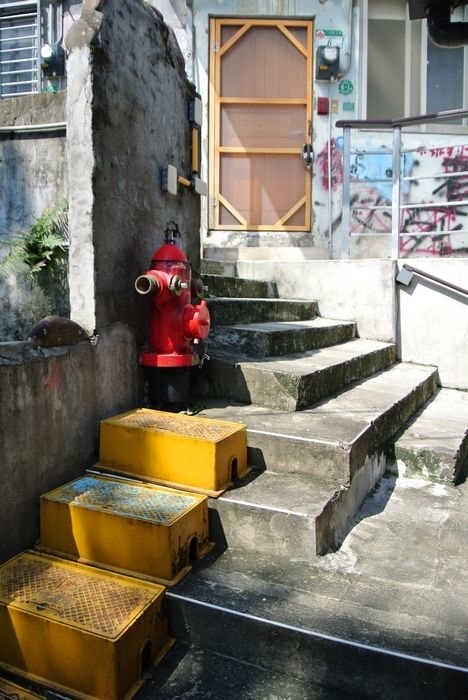 nEO_IMG_DSC_0331