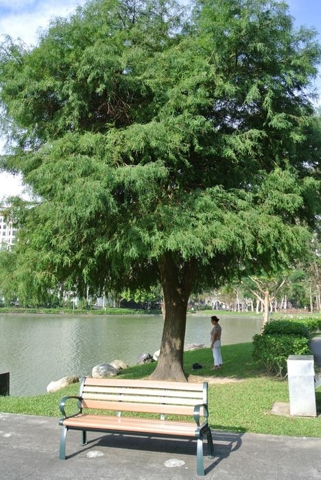 nEO_IMG_DSC_3095