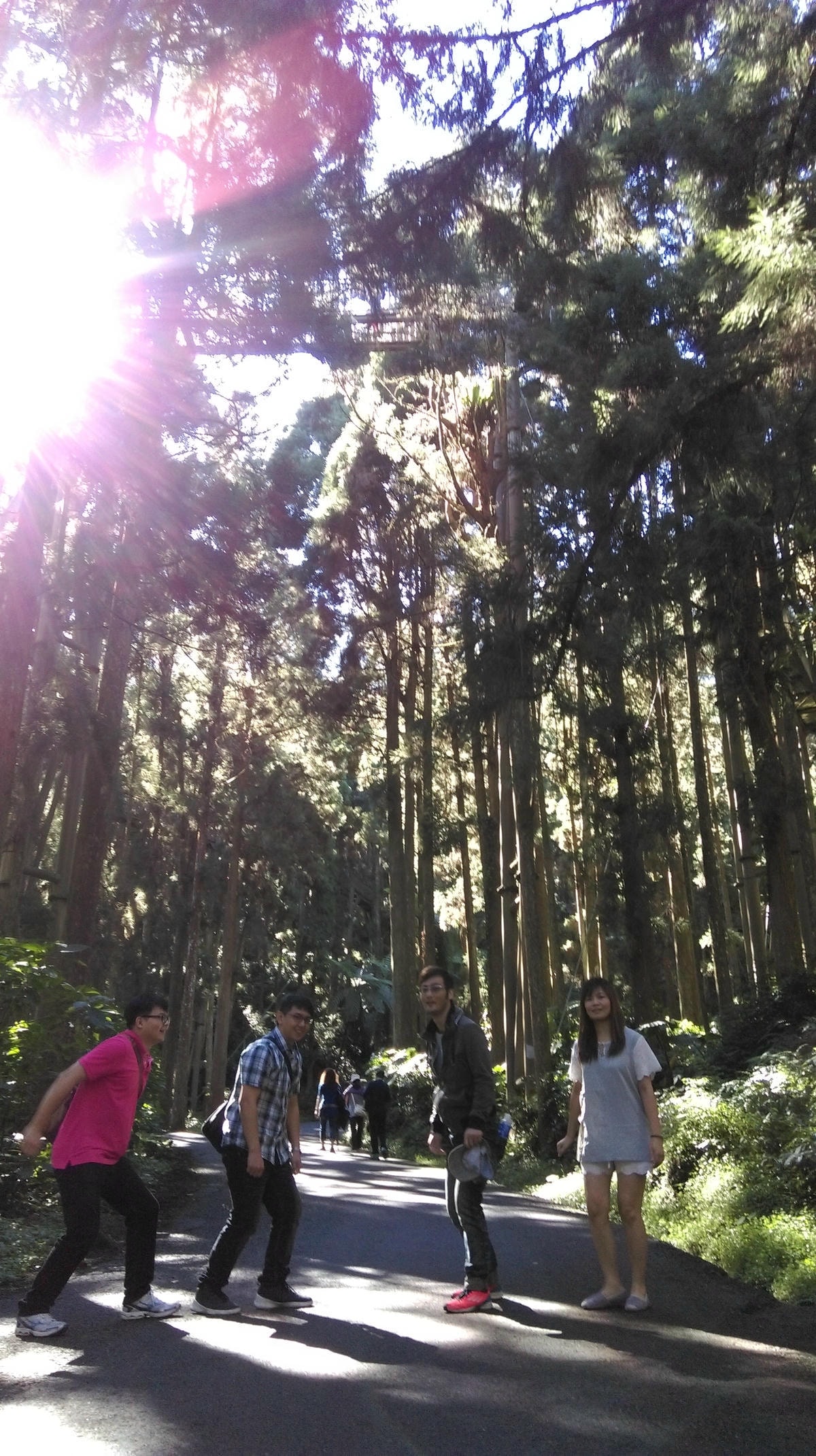 IMAG2940_BURST001