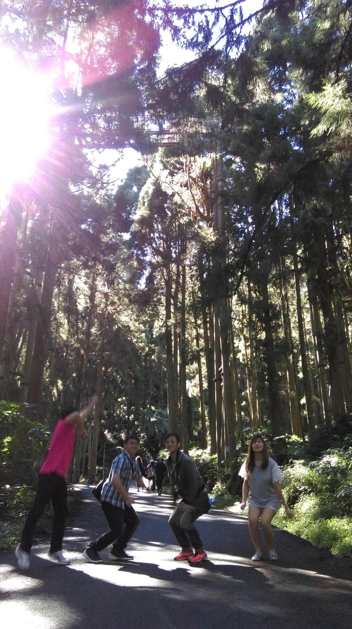 IMAG2940_BURST003
