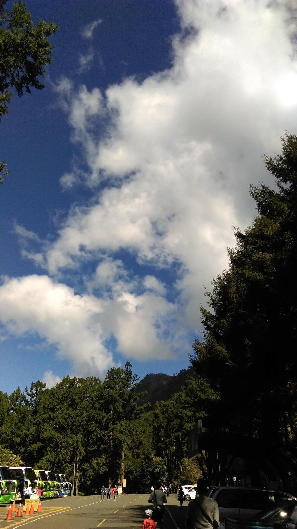 IMAG2972