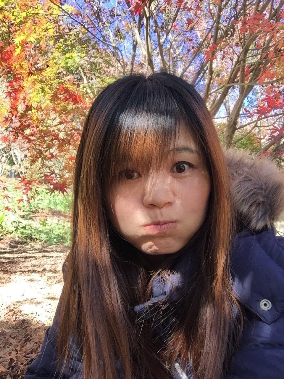 S__27910221