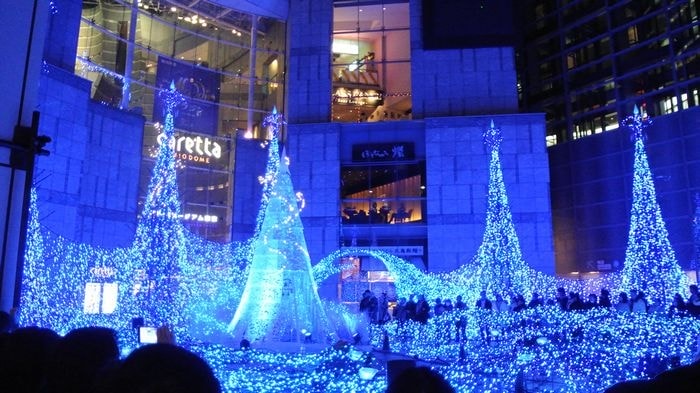 nEO_IMG_DSC_4646