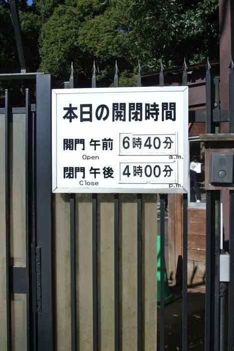 nEO_IMG_DSC_4736