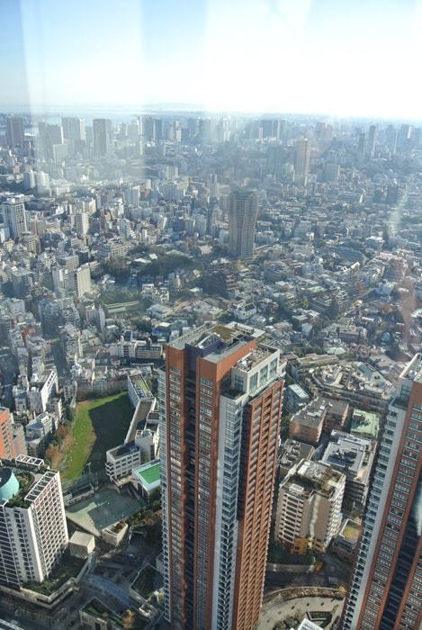 DSC_5198.jpg