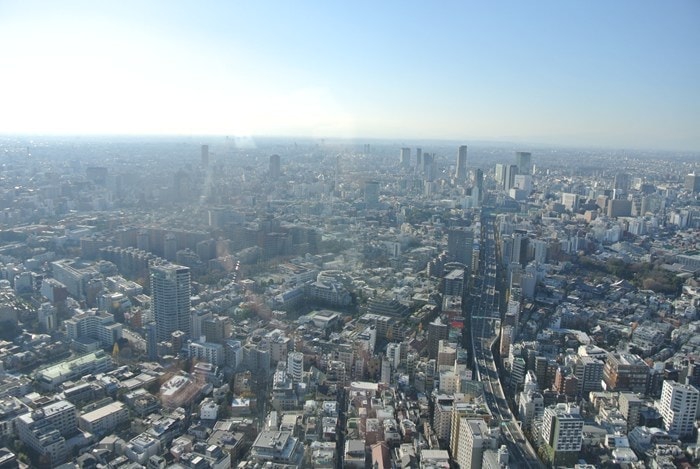 DSC_5201.jpg
