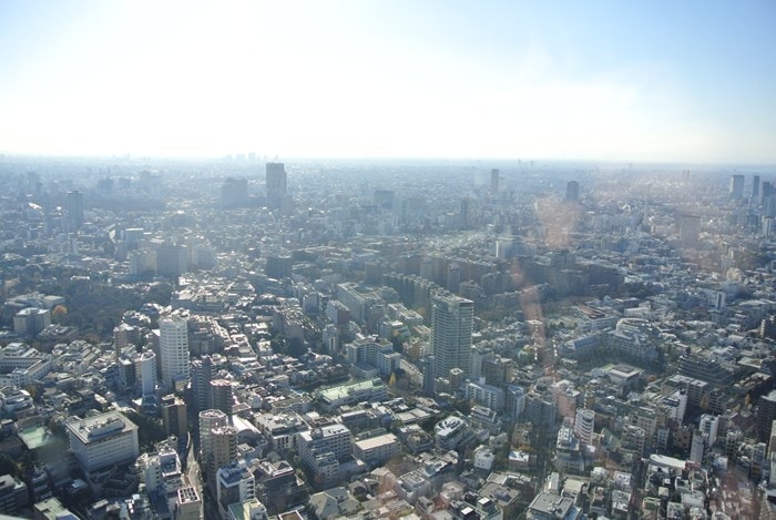 DSC_5202.jpg