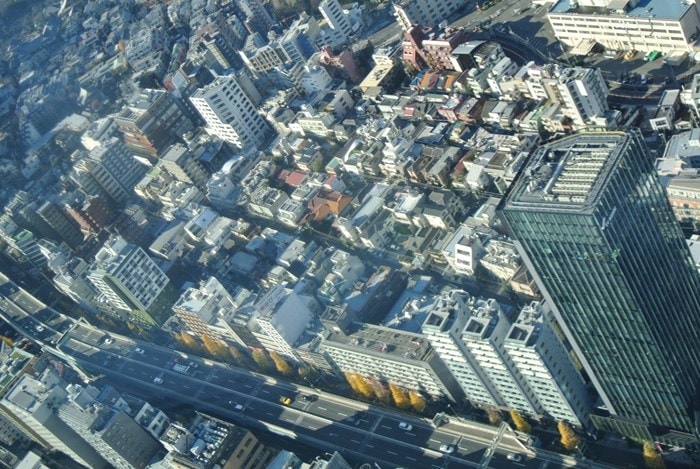DSC_5214.jpg