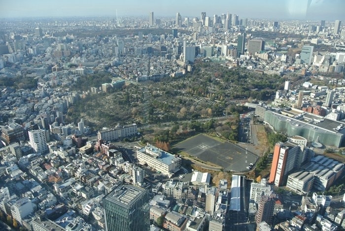 DSC_5215.jpg