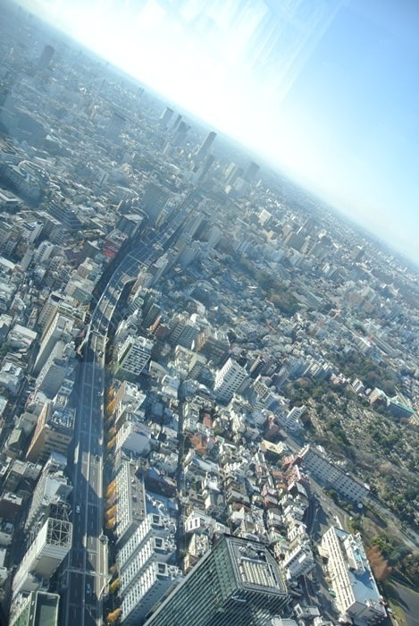 DSC_5216.jpg