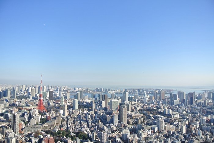 DSC_5230.jpg