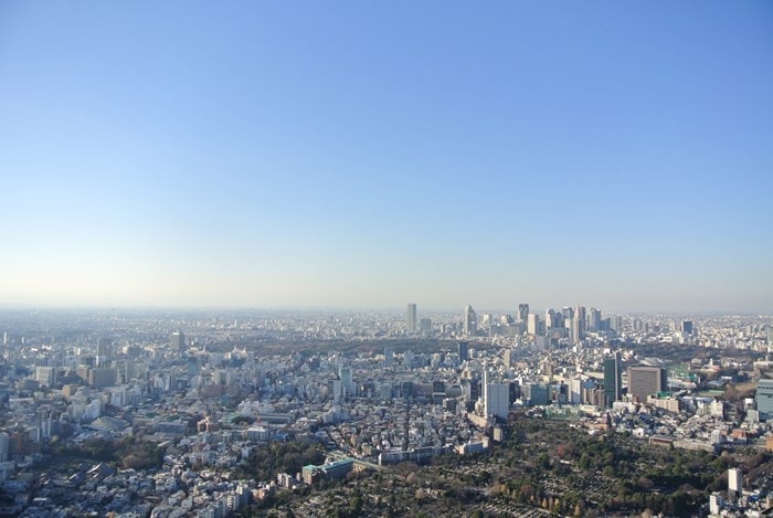 DSC_5234.jpg