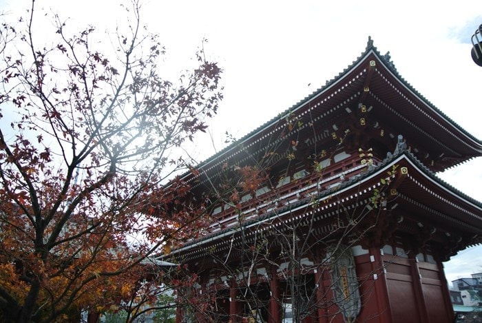 DSC_5356.jpg