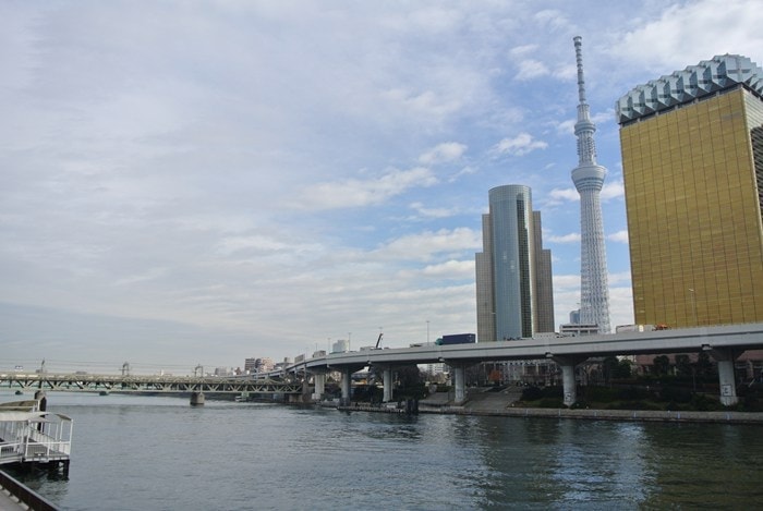 DSC_5384.jpg