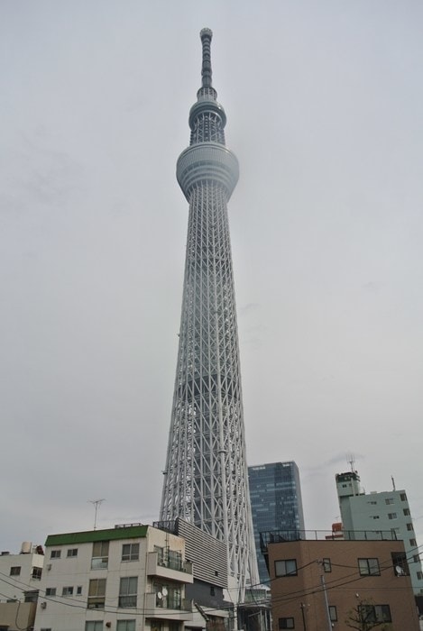 DSC_5389.jpg