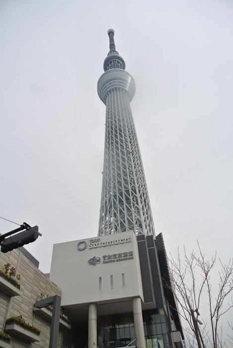 DSC_5392.jpg