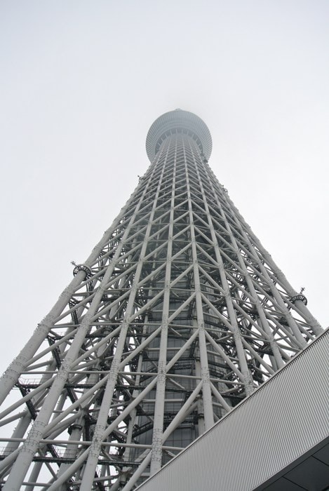 DSC_5393.jpg