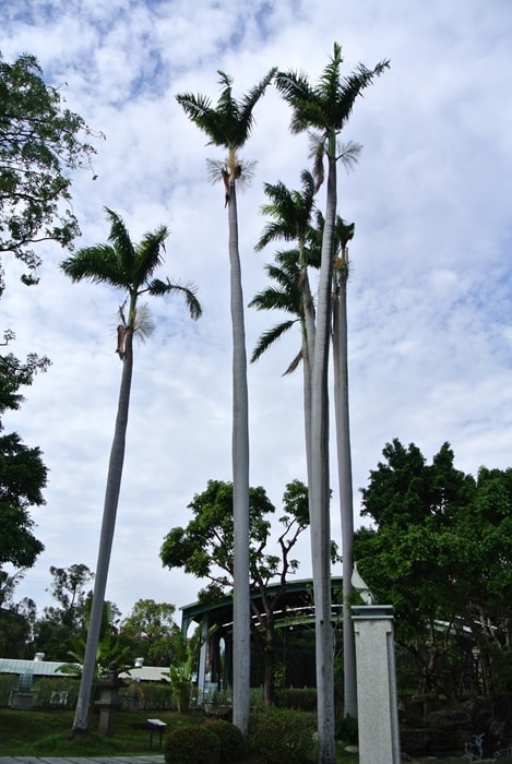 DSC_6137.jpg
