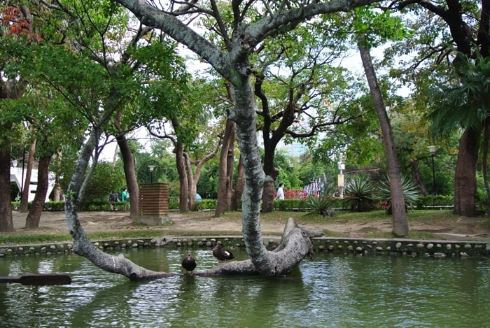 DSC_6216.jpg