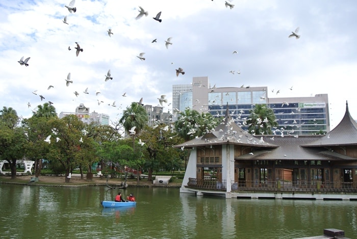 DSC_6236.jpg