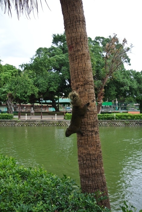 DSC_6247.jpg