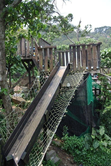DSC_6990.jpg